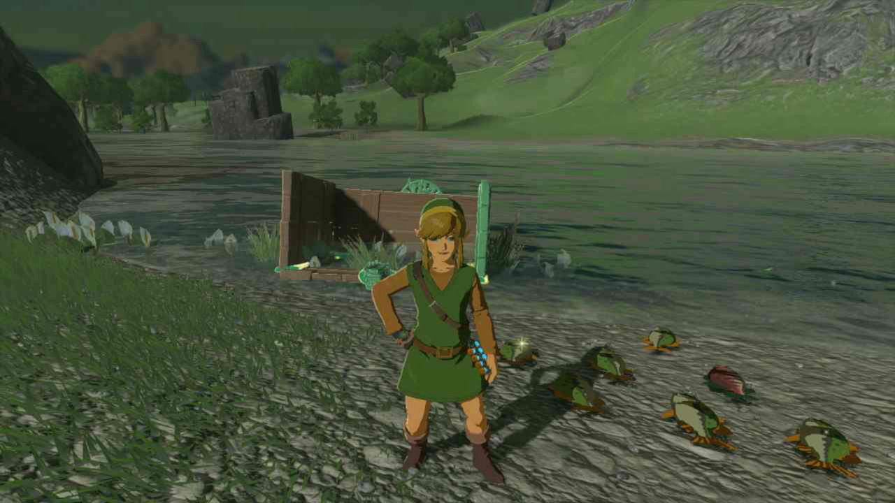 Daily Debate: Should Rod and Reel Fishing Have Been Re-Introduced in Tears  of the Kingdom? - Zelda Dungeon