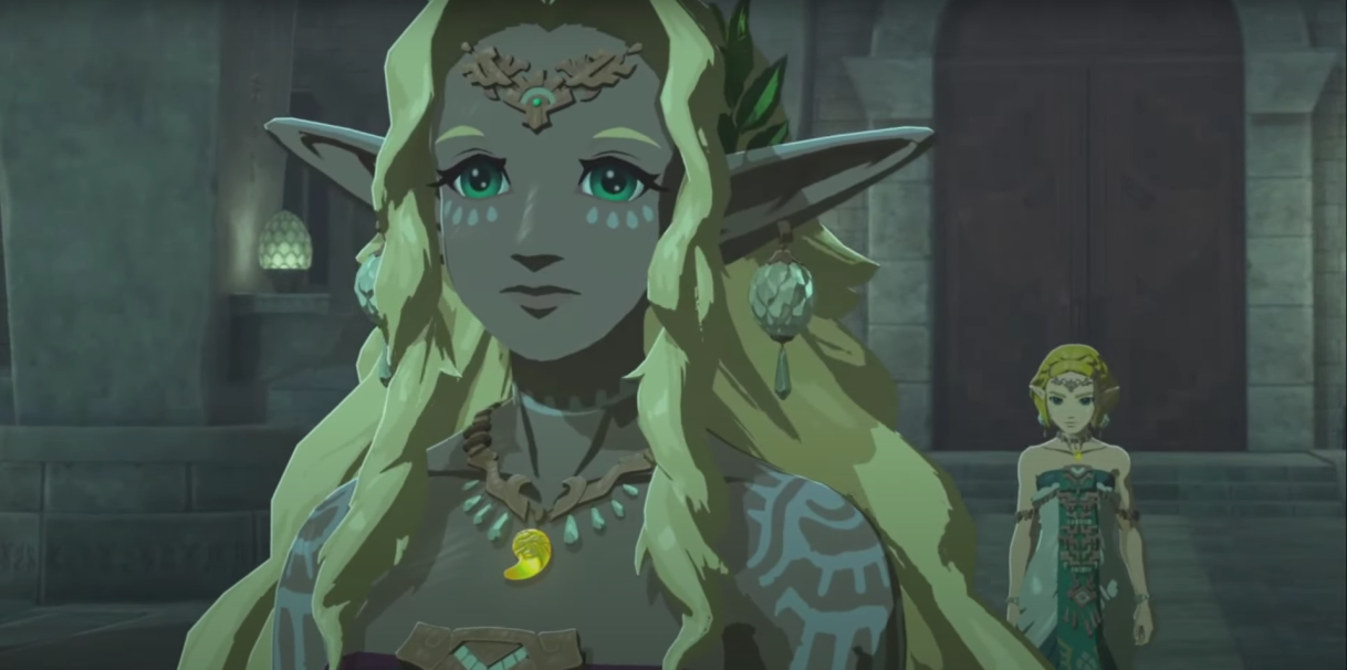 The Legend of Zelda Tears Of The Kingdom Link Portrait png
